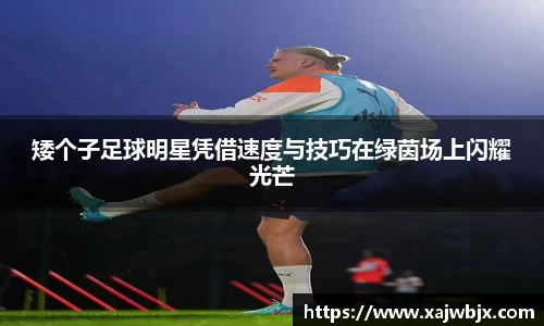 矮个子足球明星凭借速度与技巧在绿茵场上闪耀光芒