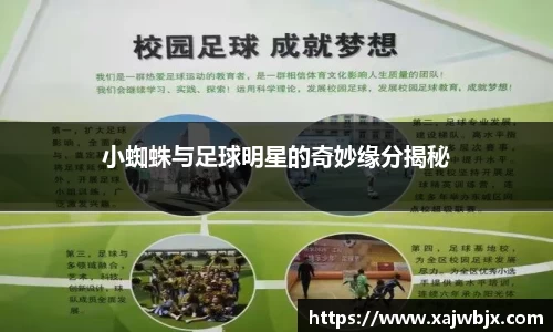 小蜘蛛与足球明星的奇妙缘分揭秘